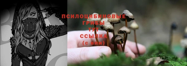 кокс Аркадак